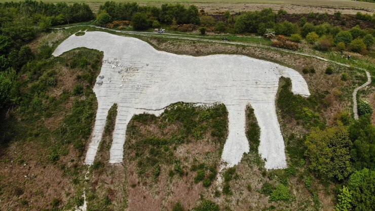 Andrew Rogers,  reflejo esperanzador de la importancia de donar fondos a artistas  del medio ambiente.